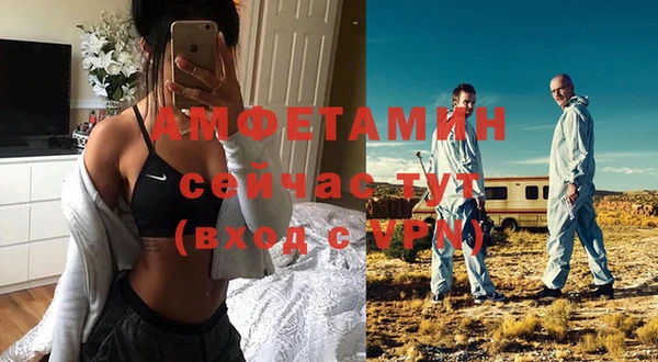мет Алексин