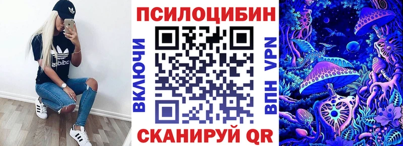 Галлюциногенные грибы Psilocybe  Тверь 