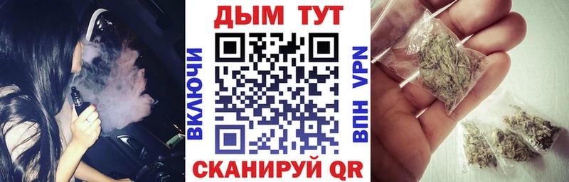 Канабис план где можно купить Тверь
